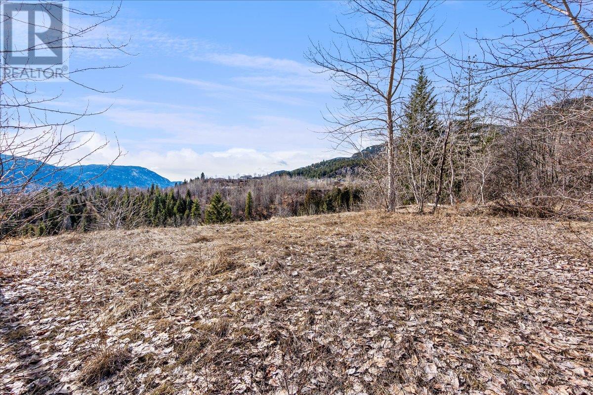 1220 37th Street, Castlegar, British Columbia  V1N 3N1 - Photo 4 - 10335475