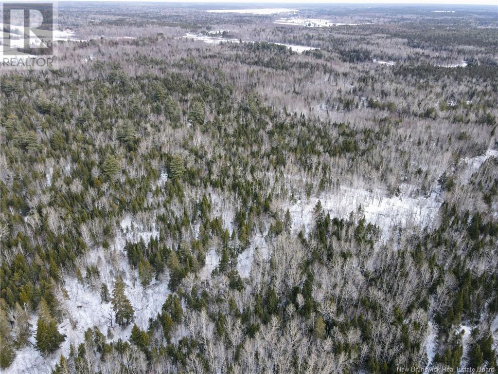 4657 Route 480, Acadieville, New Brunswick  E4Y 2C3 - Photo 13 - NB113835
