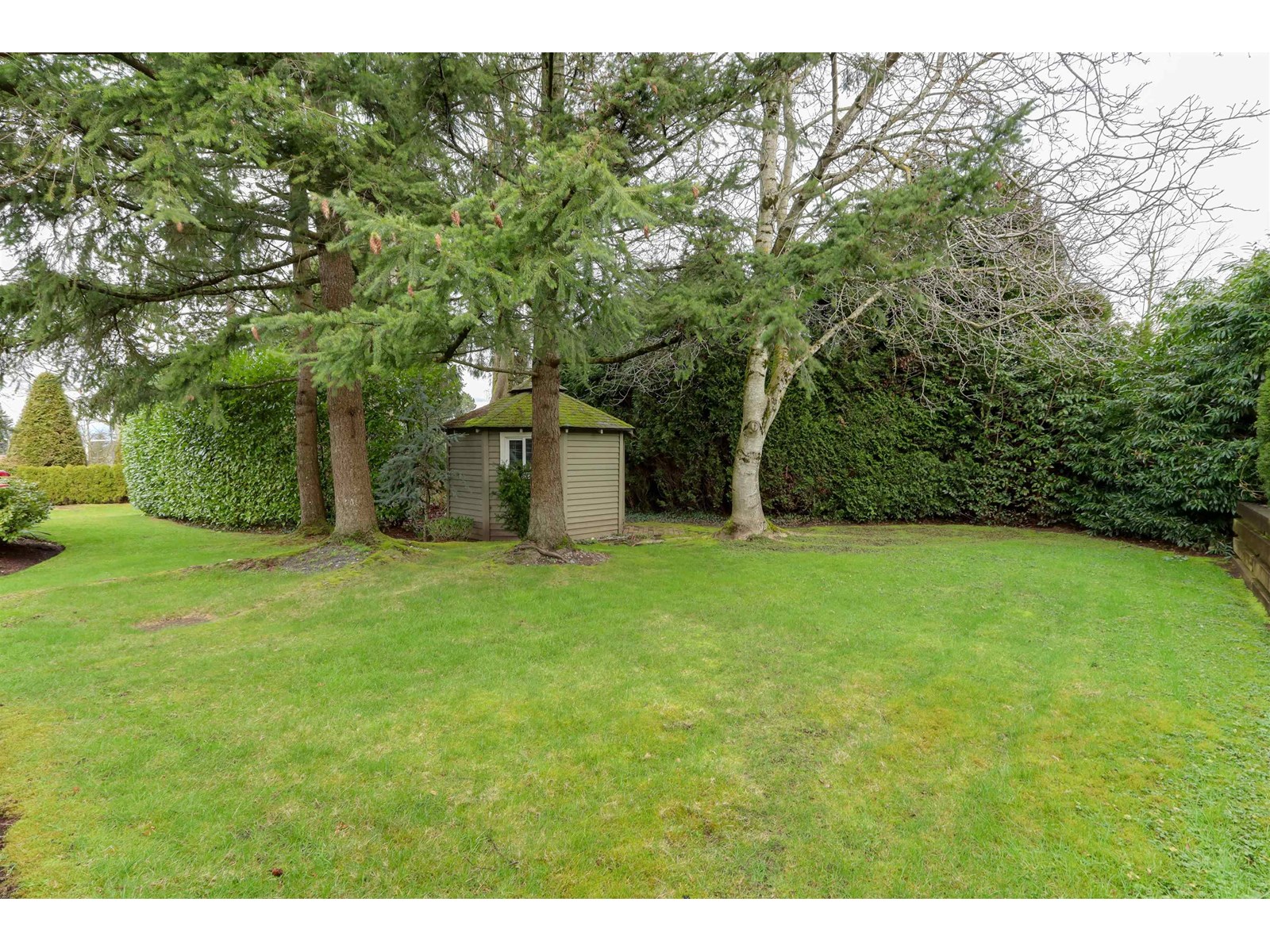 29 2672 151 Street, Surrey, British Columbia  V4P 1A1 - Photo 31 - R2976140