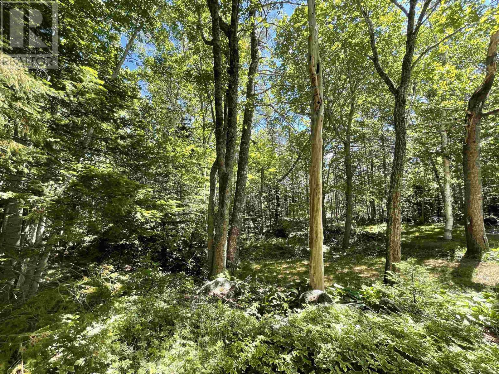 Lot 1 Grant Lake Road, Chester Grant, Nova Scotia  B0J 1K0 - Photo 8 - 202504634