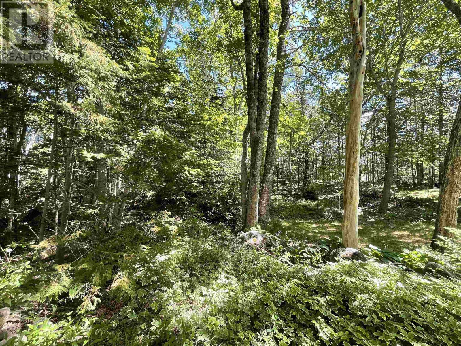 Lot 1 Grant Lake Road, Chester Grant, Nova Scotia  B0J 1K0 - Photo 9 - 202504634