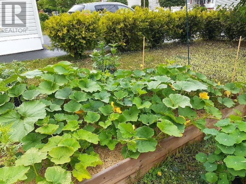 141 Haven Drive, Bridgewater, Nova Scotia  B4V 4E4 - Photo 37 - 202504663