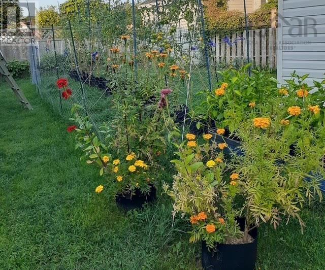 141 Haven Drive, Bridgewater, Nova Scotia  B4V 4E4 - Photo 38 - 202504663