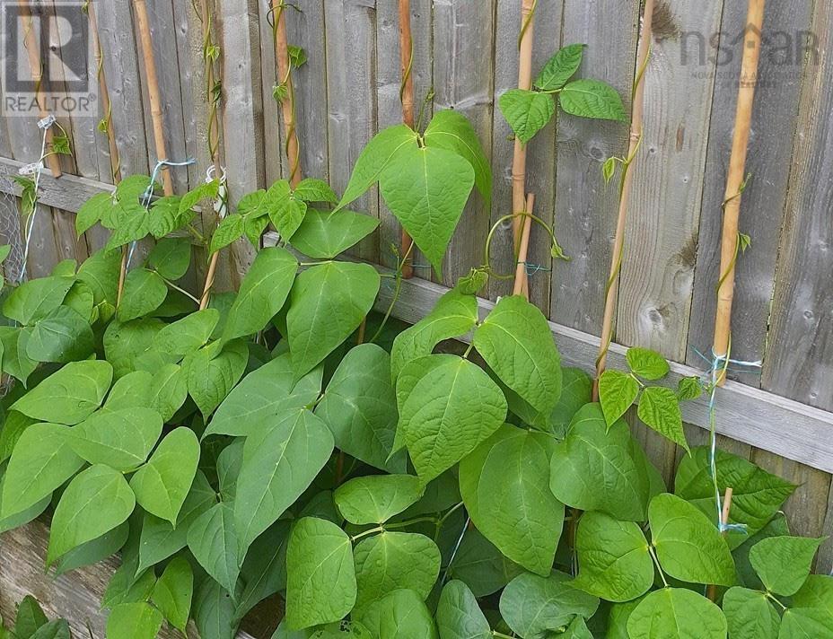 141 Haven Drive, Bridgewater, Nova Scotia  B4V 4E4 - Photo 39 - 202504663