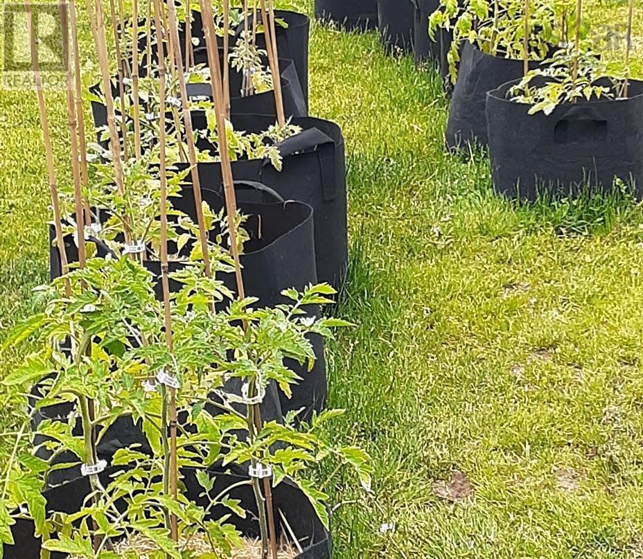 141 Haven Drive, Bridgewater, Nova Scotia  B4V 4E4 - Photo 41 - 202504663