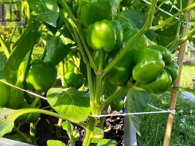 141 Haven Drive, Bridgewater, Nova Scotia  B4V 4E4 - Photo 42 - 202504663