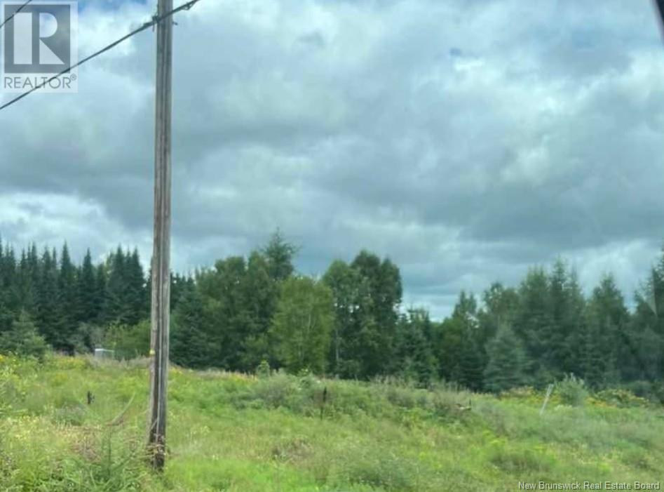 Lot Route 260, Kedgwick Sud, New Brunswick  E8B 1P3 - Photo 2 - NB113929