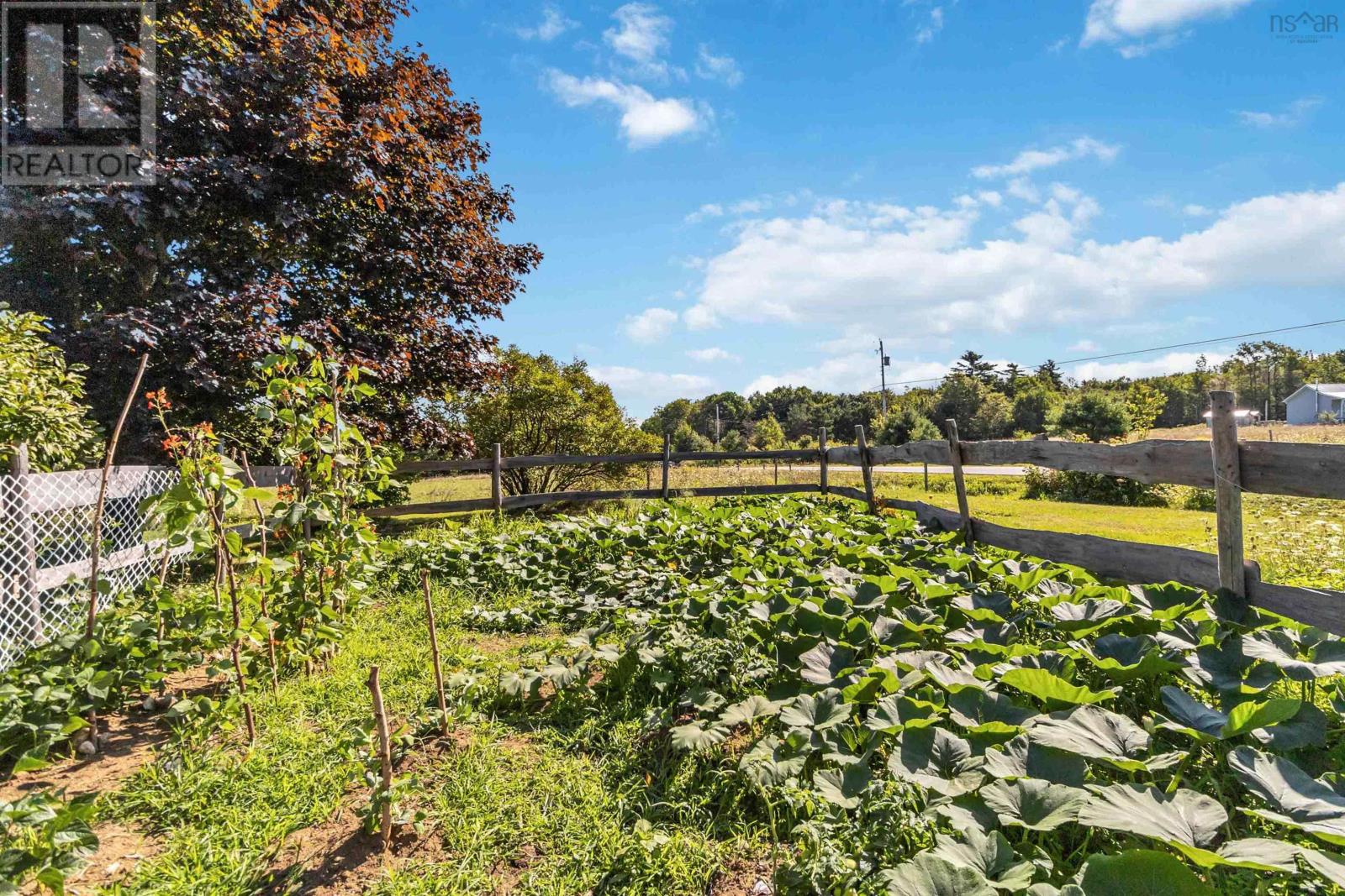 750 Highway 210, Waterloo, Nova Scotia  B4V 8J5 - Photo 35 - 202504674