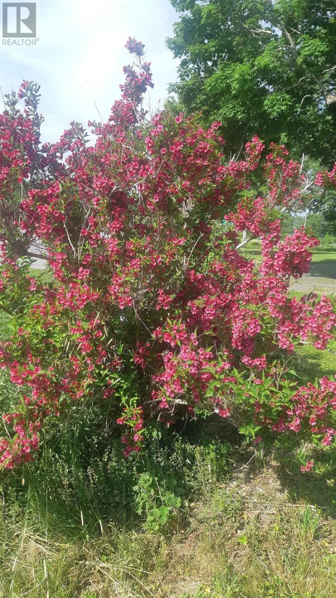 750 Highway 210, Waterloo, Nova Scotia  B4V 8J5 - Photo 47 - 202504674