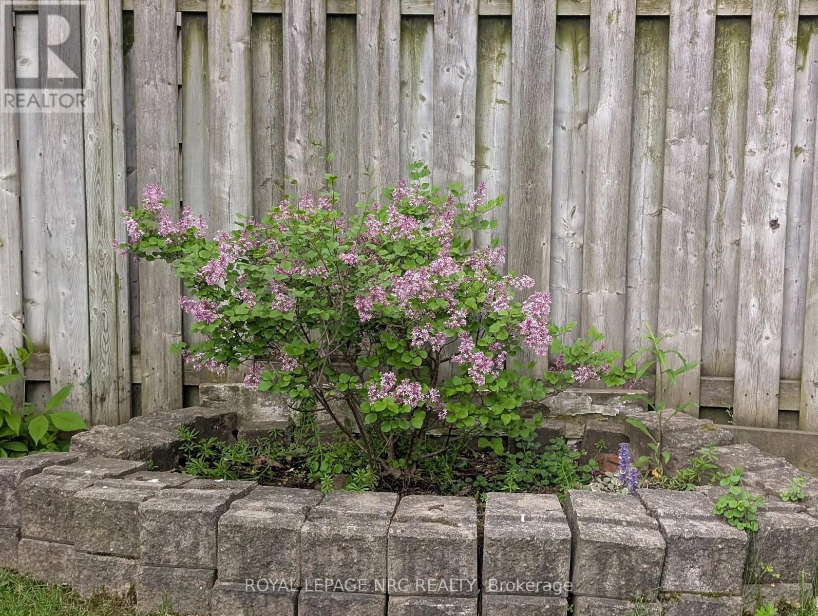 110 Eastchester Avenue, St. Catharines (E. Chester), Ontario  L2P 2Z1 - Photo 37 - X12015108