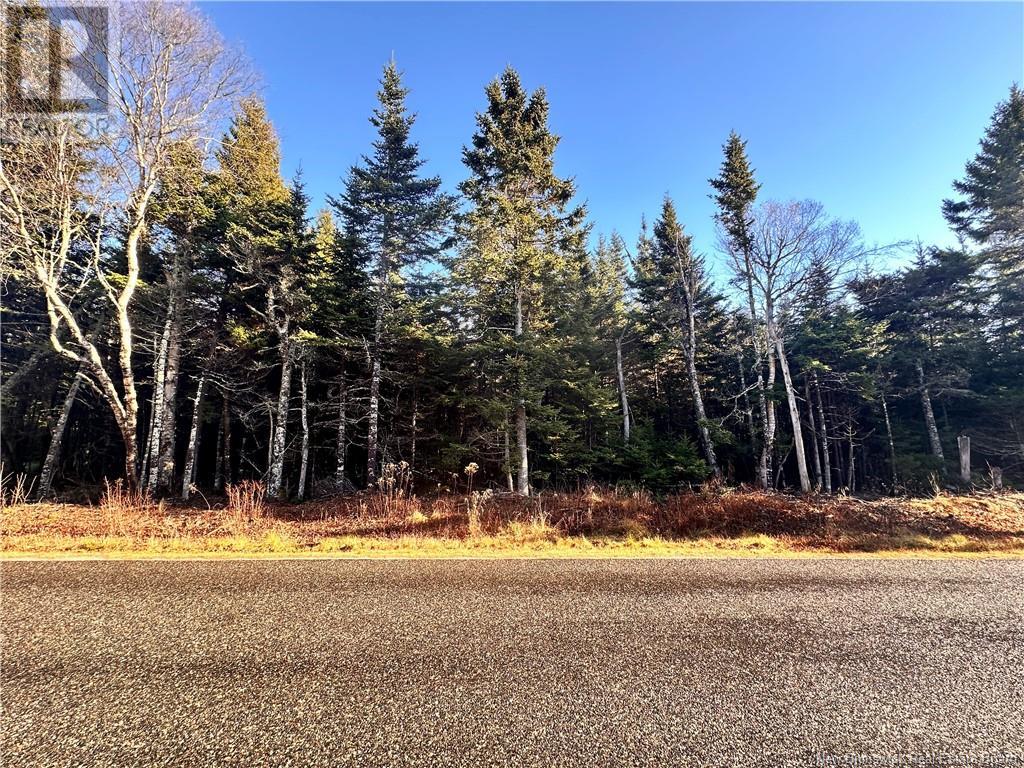 Haggertys Cove Road, New River Beach, New Brunswick  E5J 1J5 - Photo 7 - NB109759