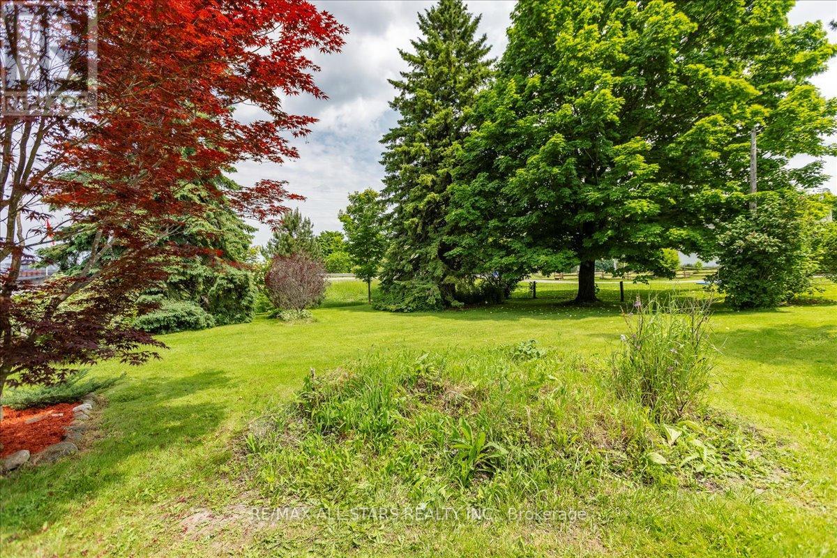 3369 Baseline Road, Georgina (Belhaven), Ontario  L0E 1R0 - Photo 6 - N12015223