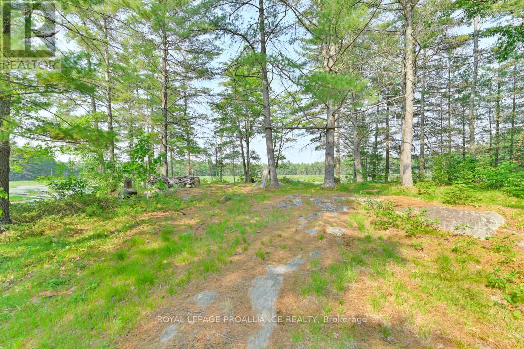 1971 Gull Lake Estates Lane, Frontenac, Ontario  K0H 1B0 - Photo 12 - X12015357