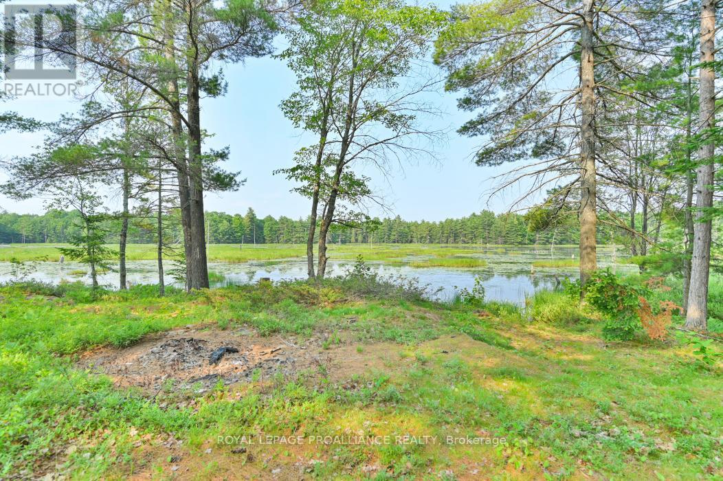 1971 Gull Lake Estates Lane, Frontenac, Ontario  K0H 1B0 - Photo 15 - X12015357