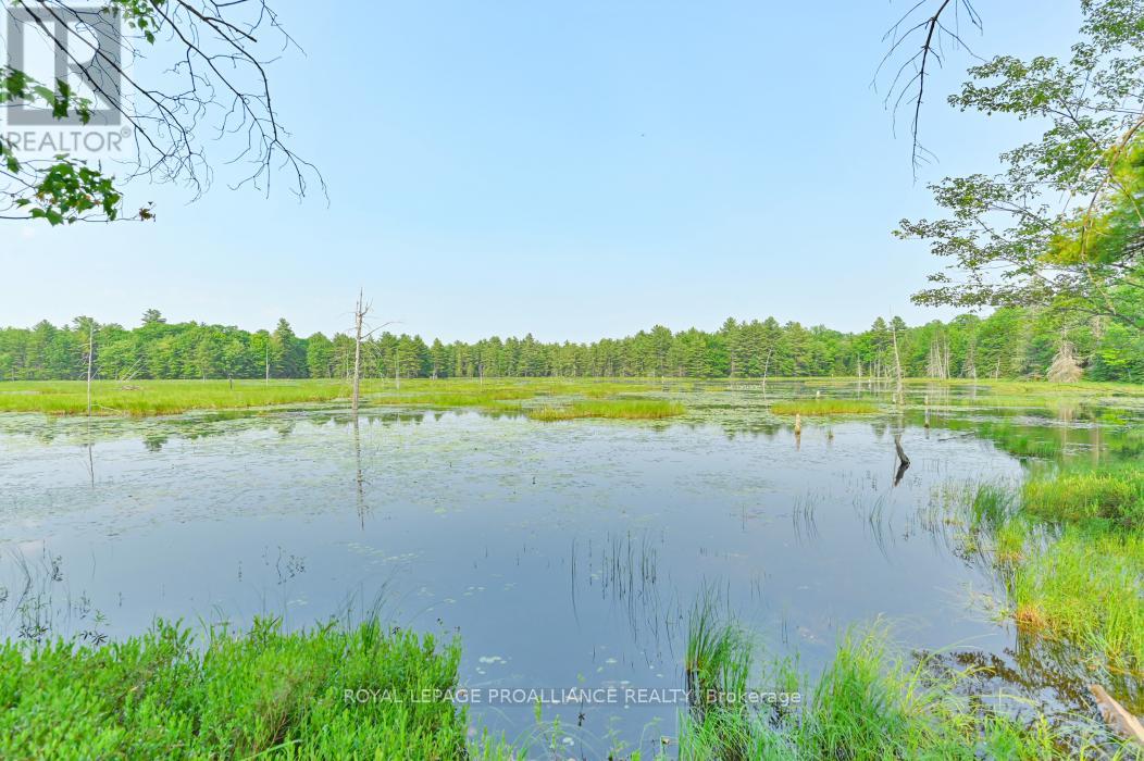 1971 Gull Lake Estates Lane, Frontenac, Ontario  K0H 1B0 - Photo 17 - X12015357