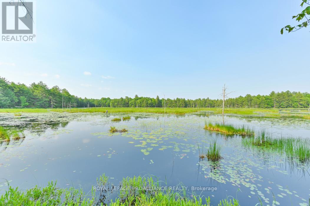 1971 Gull Lake Estates Lane, Frontenac, Ontario  K0H 1B0 - Photo 19 - X12015357