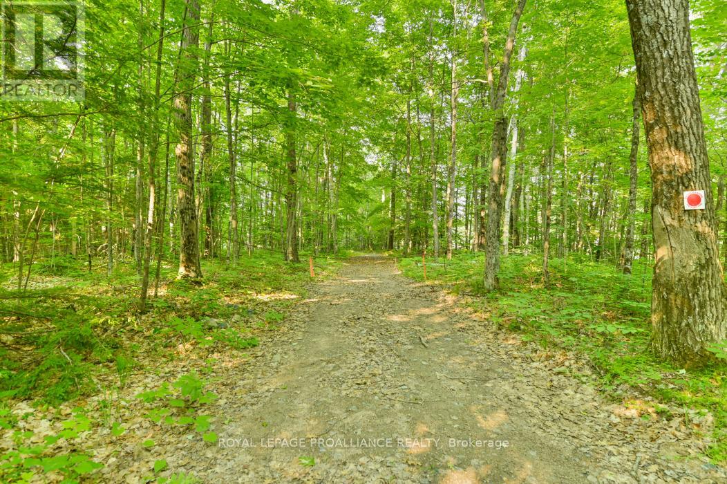1971 Gull Lake Estates Lane, Frontenac, Ontario  K0H 1B0 - Photo 2 - X12015357