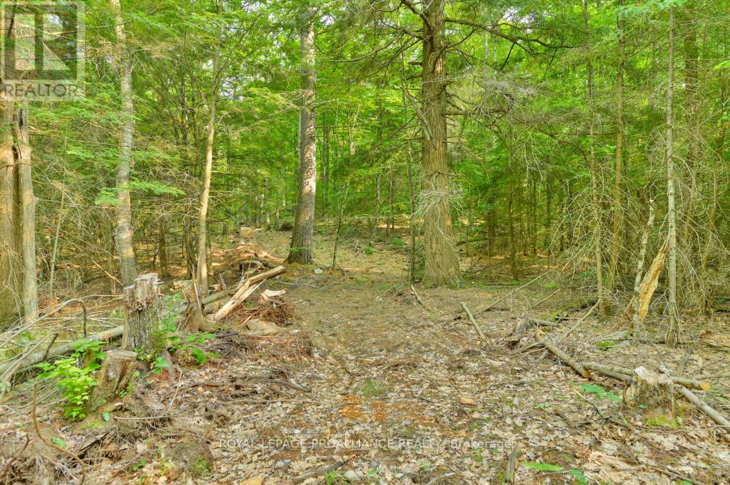 1971 Gull Lake Estates Lane, Frontenac, Ontario  K0H 1B0 - Photo 22 - X12015357