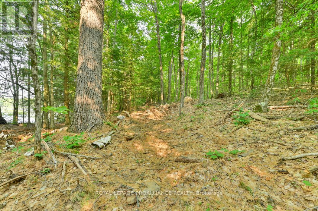 1971 Gull Lake Estates Lane, Frontenac, Ontario  K0H 1B0 - Photo 23 - X12015357