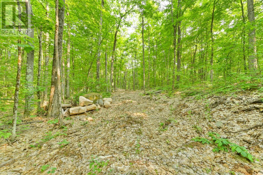 1971 Gull Lake Estates Lane, Frontenac, Ontario  K0H 1B0 - Photo 24 - X12015357