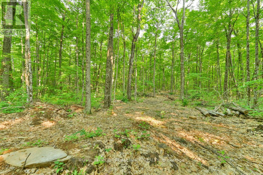 1971 Gull Lake Estates Lane, Frontenac, Ontario  K0H 1B0 - Photo 25 - X12015357
