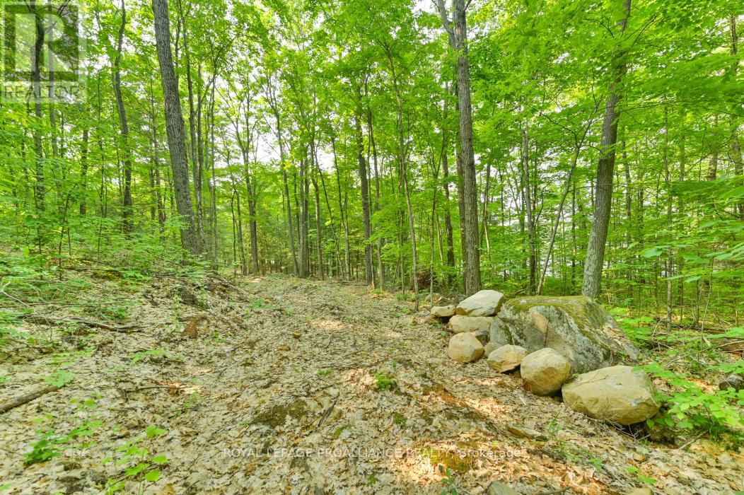 1971 Gull Lake Estates Lane, Frontenac, Ontario  K0H 1B0 - Photo 26 - X12015357