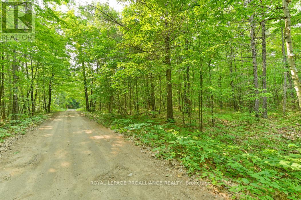1971 Gull Lake Estates Lane, Frontenac, Ontario  K0H 1B0 - Photo 29 - X12015357