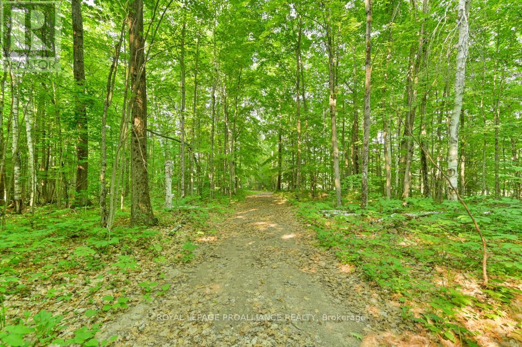 1971 Gull Lake Estates Lane, Frontenac, Ontario  K0H 1B0 - Photo 3 - X12015357
