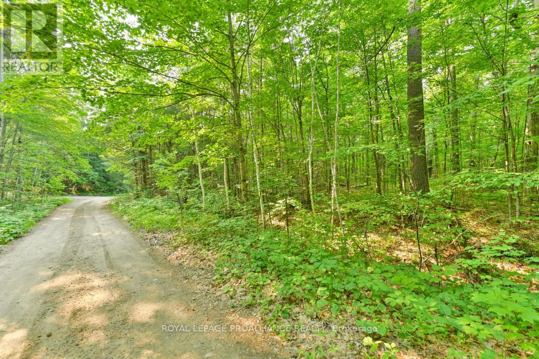 1971 Gull Lake Estates Lane, Frontenac, Ontario  K0H 1B0 - Photo 30 - X12015357