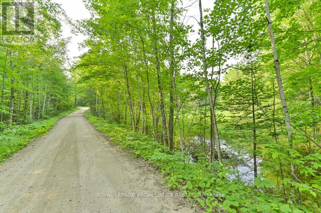 1971 Gull Lake Estates Lane, Frontenac, Ontario  K0H 1B0 - Photo 32 - X12015357