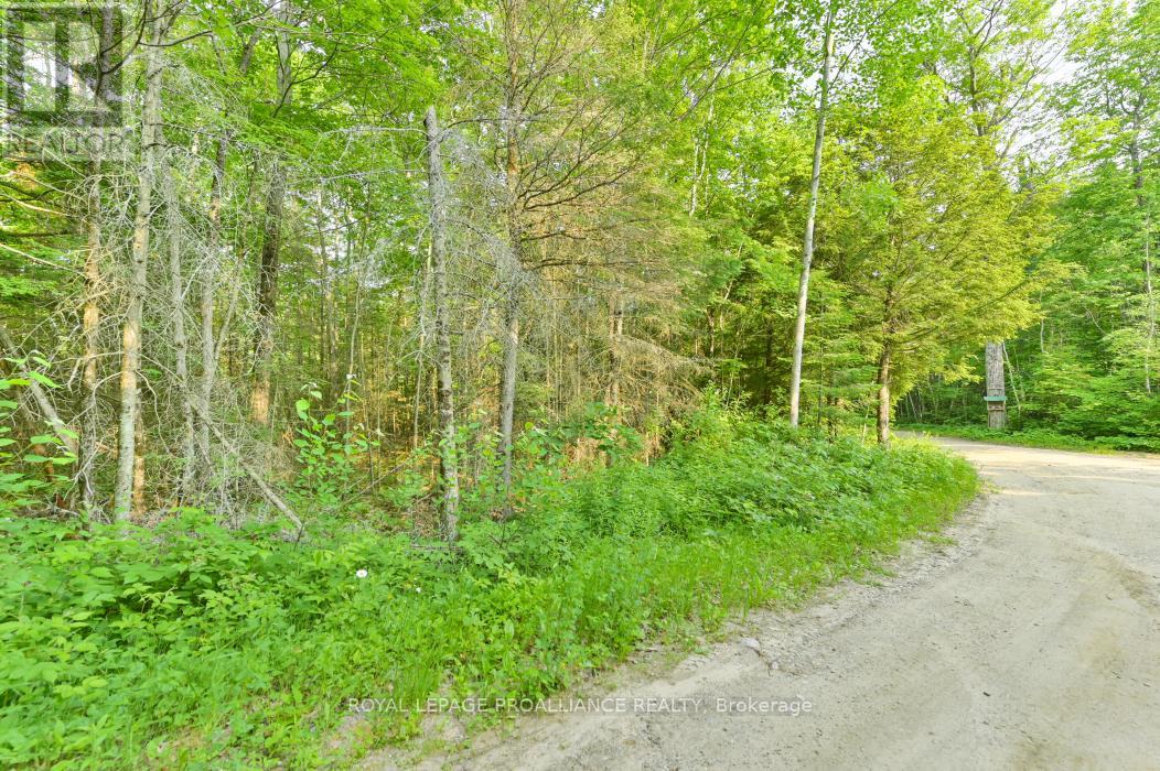 1971 Gull Lake Estates Lane, Frontenac, Ontario  K0H 1B0 - Photo 34 - X12015357