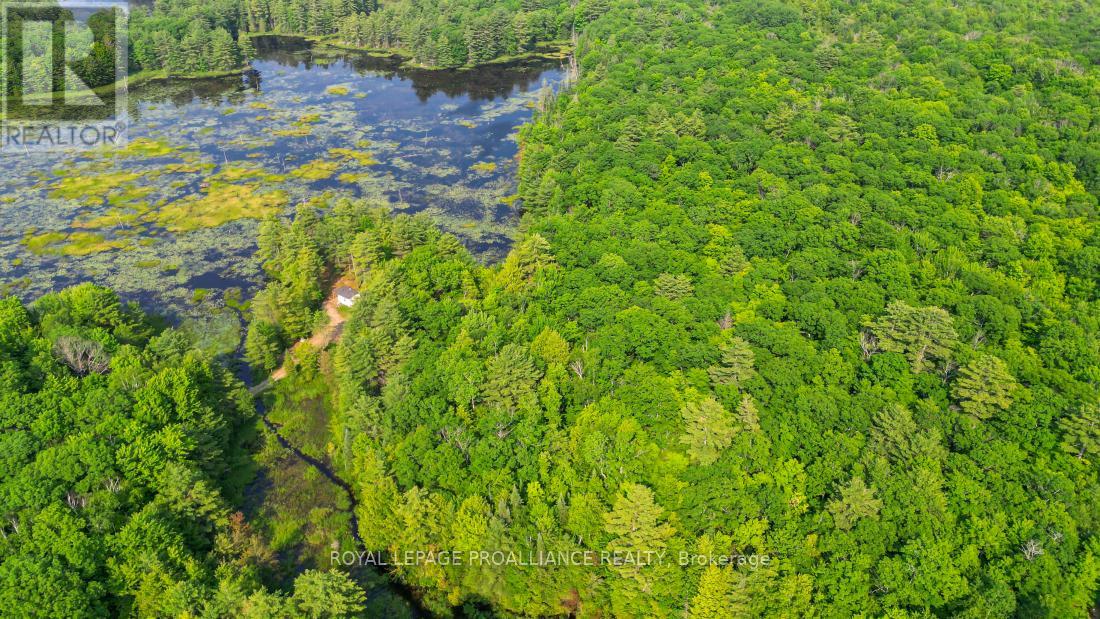 1971 Gull Lake Estates Lane, Frontenac, Ontario  K0H 1B0 - Photo 37 - X12015357