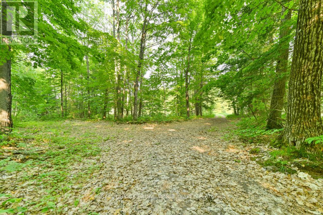 1971 Gull Lake Estates Lane, Frontenac, Ontario  K0H 1B0 - Photo 4 - X12015357