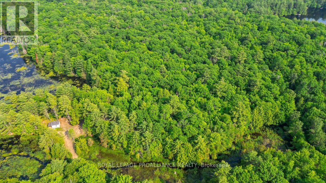 1971 Gull Lake Estates Lane, Frontenac, Ontario  K0H 1B0 - Photo 40 - X12015357