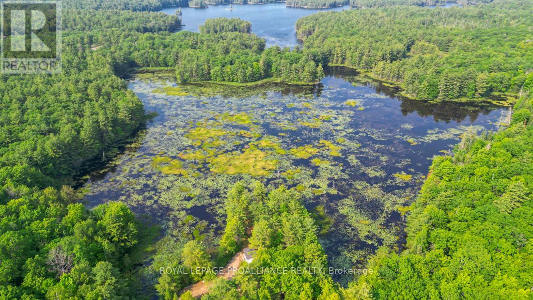 1971 Gull Lake Estates Lane, Frontenac, Ontario  K0H 1B0 - Photo 42 - X12015357