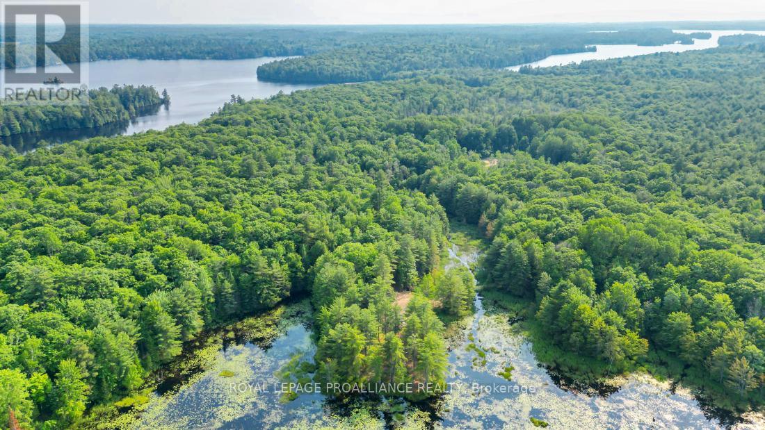 1971 Gull Lake Estates Lane, Frontenac, Ontario  K0H 1B0 - Photo 48 - X12015357