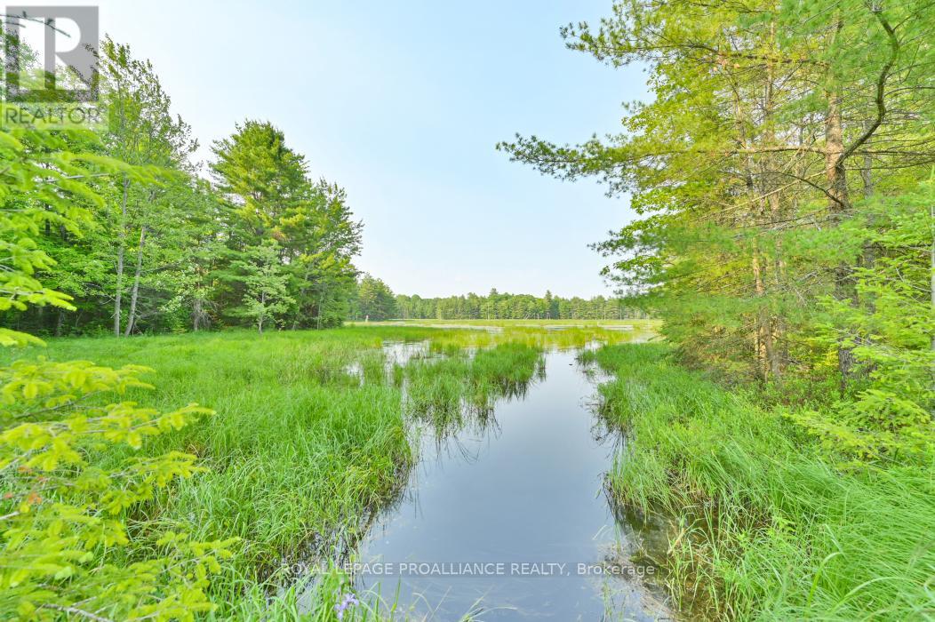 1971 Gull Lake Estates Lane, Frontenac, Ontario  K0H 1B0 - Photo 6 - X12015357