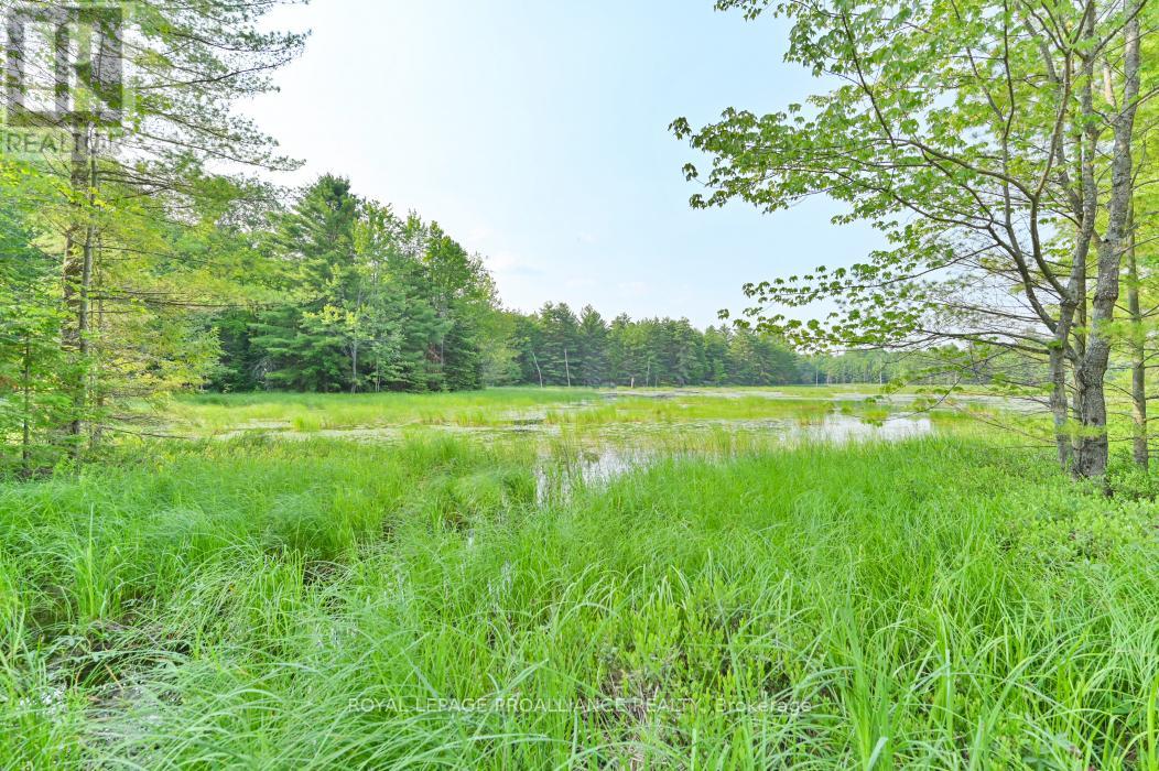 1971 Gull Lake Estates Lane, Frontenac, Ontario  K0H 1B0 - Photo 8 - X12015357