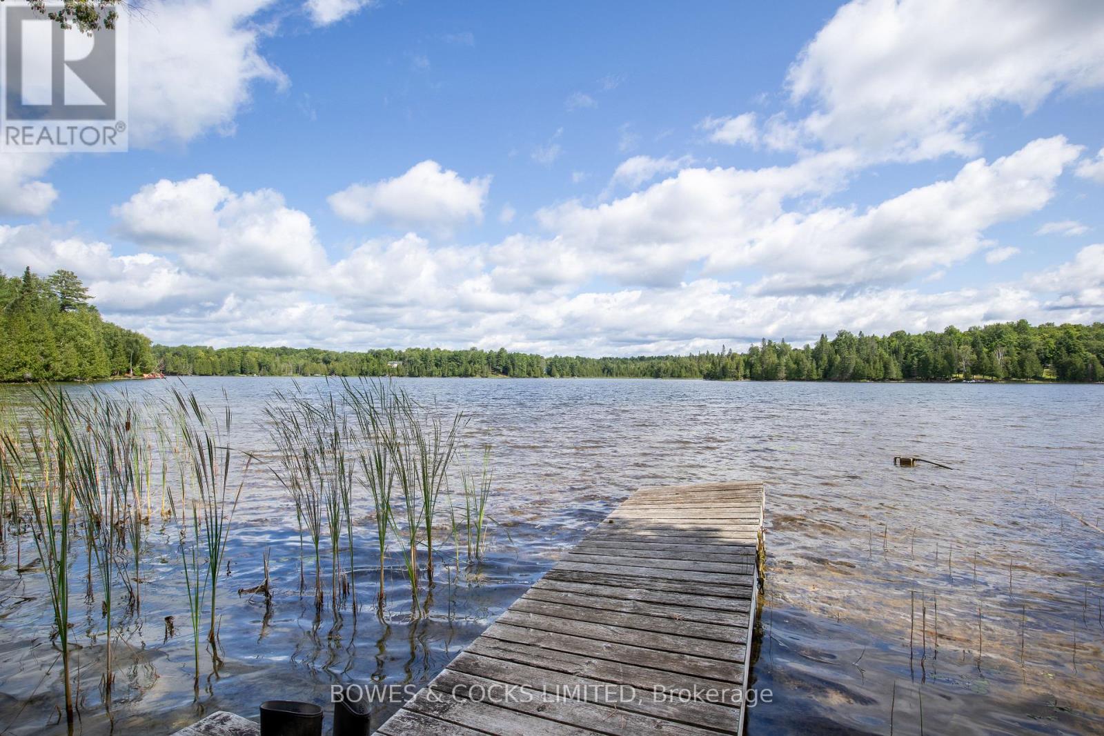 197 King Road W, Wollaston, Ontario  K0L 1P0 - Photo 22 - X12015480
