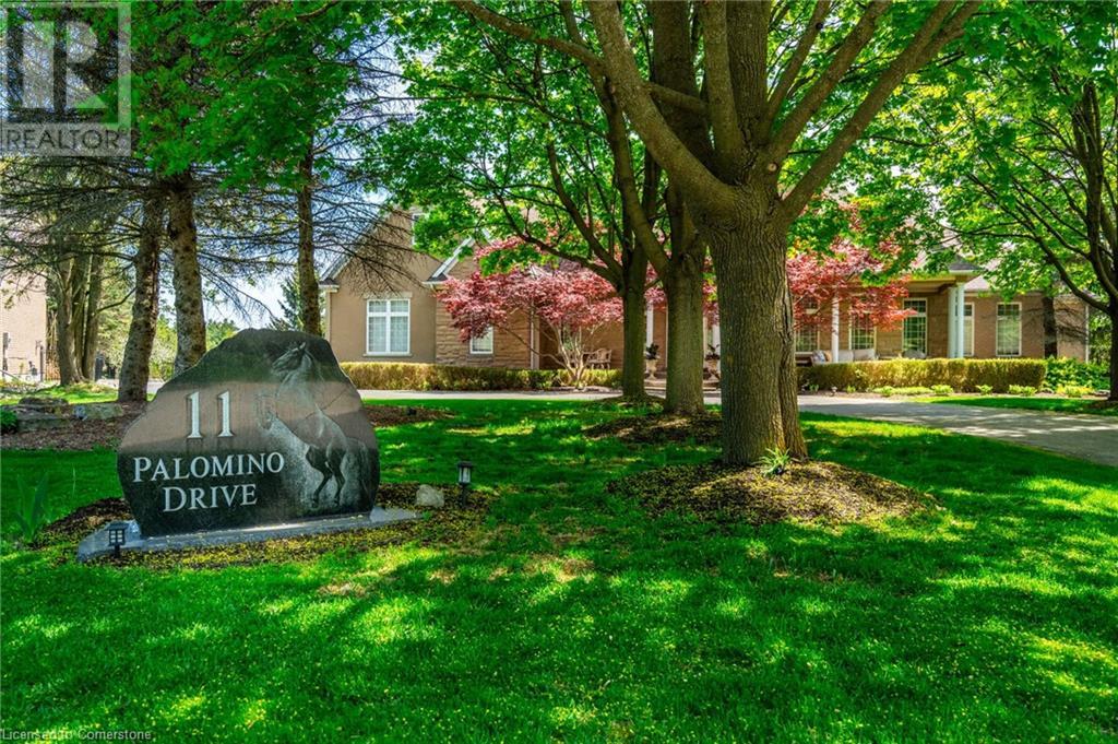 Property at 11 PALOMINO Drive image 2