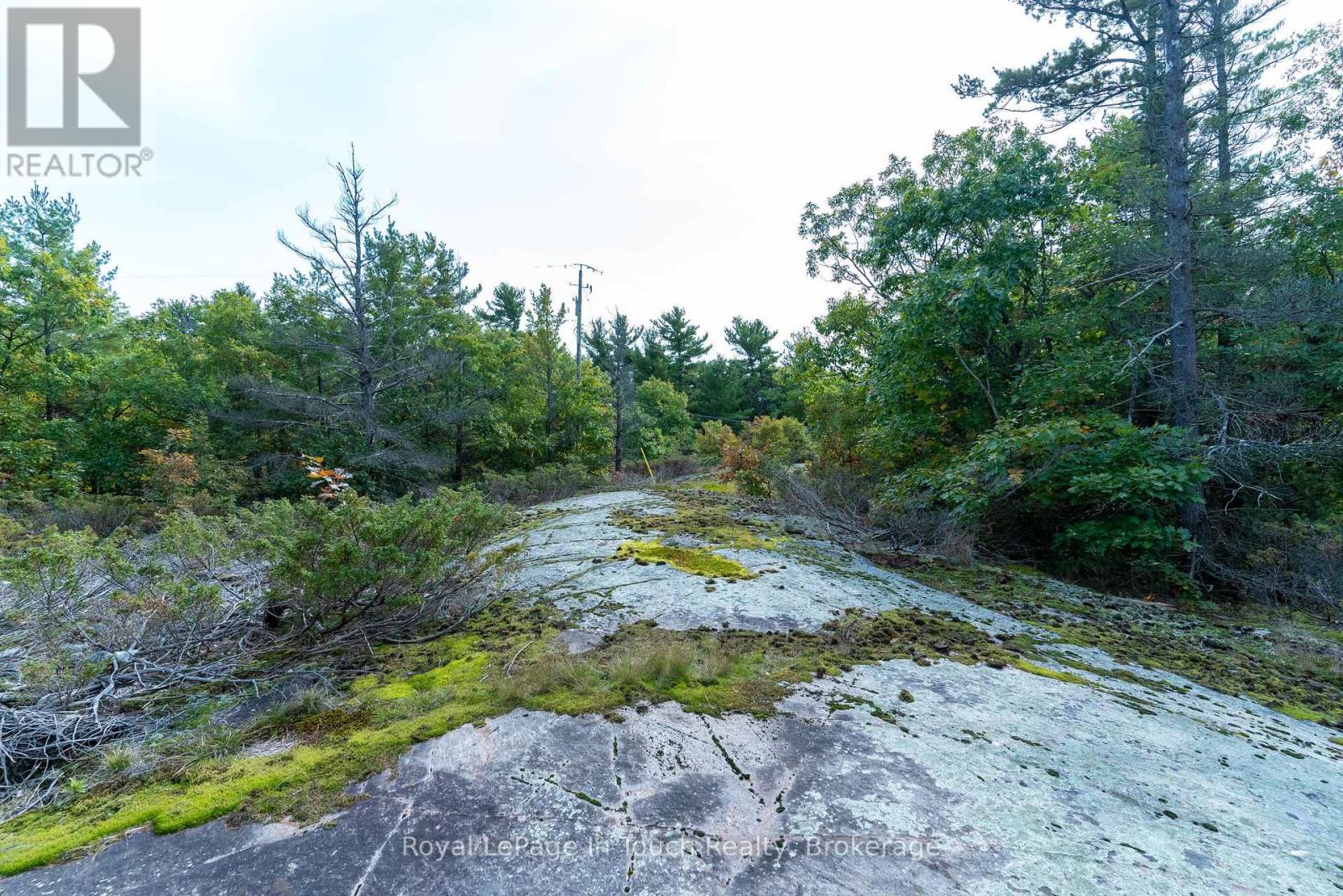 1276 Island 980, Georgian Bay, Ontario  P0E 1E0 - Photo 24 - X12015608