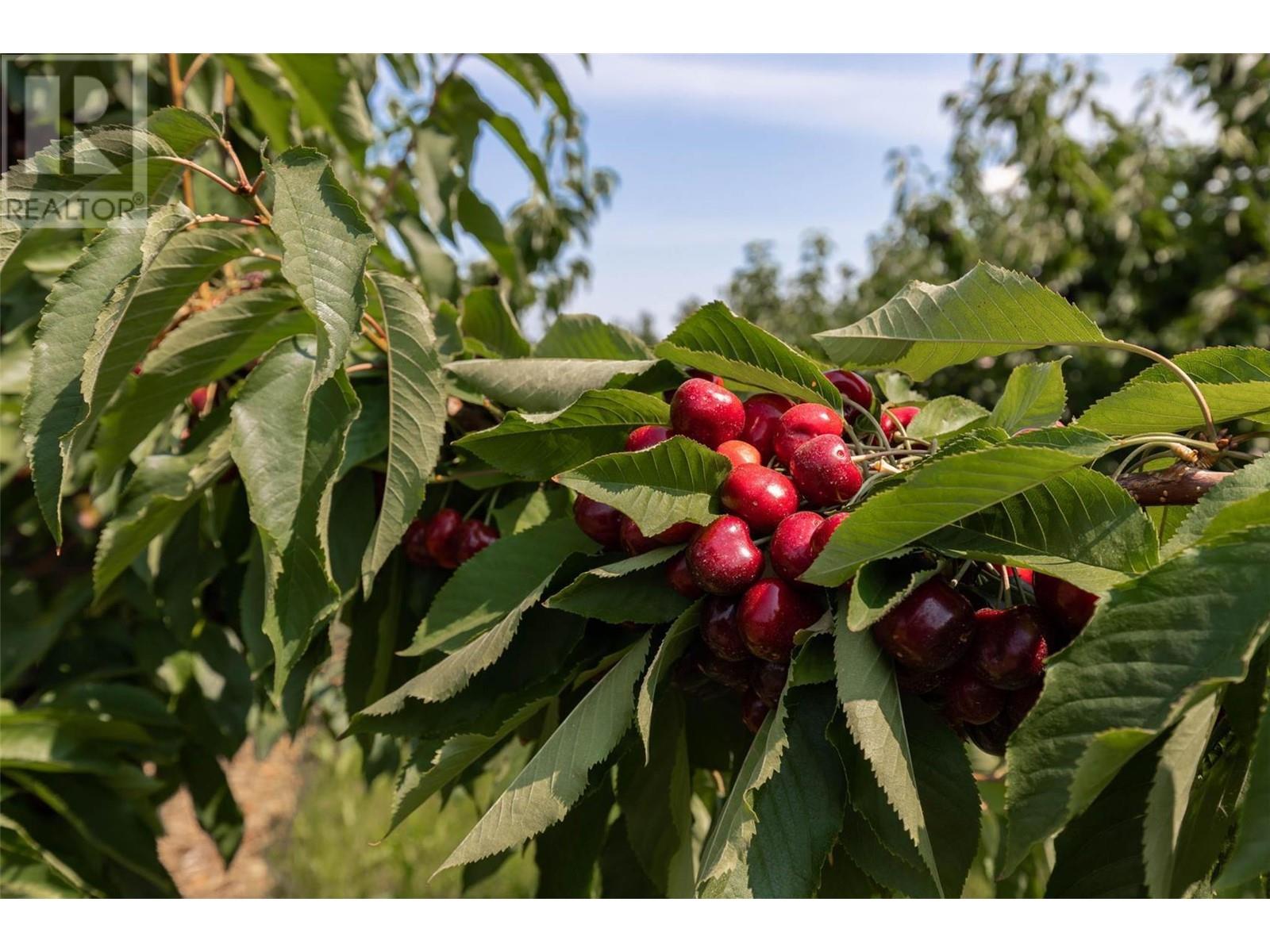 1429-1409 Teasdale Road, Kelowna, British Columbia  V1P 1C8 - Photo 54 - 10338780