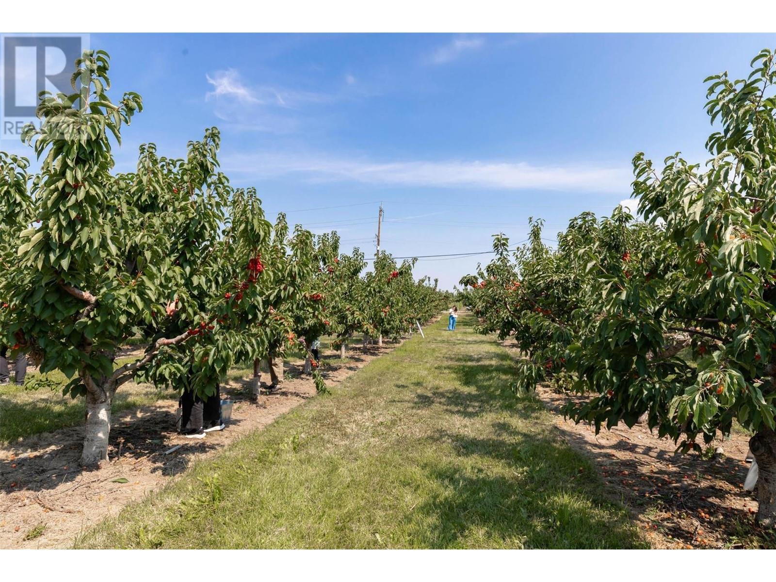 1429-1409 Teasdale Road, Kelowna, British Columbia  V1P 1C8 - Photo 61 - 10338780