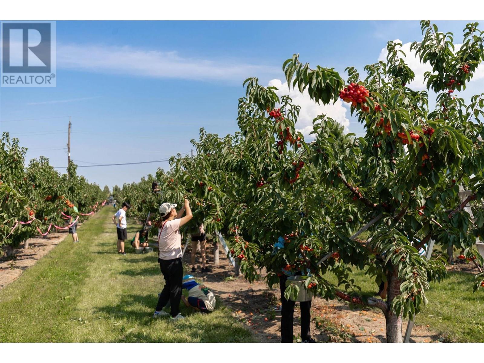 1429-1409 Teasdale Road, Kelowna, British Columbia  V1P 1C8 - Photo 64 - 10338780