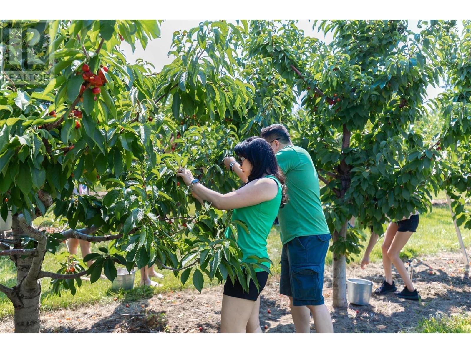 1429-1409 Teasdale Road, Kelowna, British Columbia  V1P 1C8 - Photo 63 - 10338780