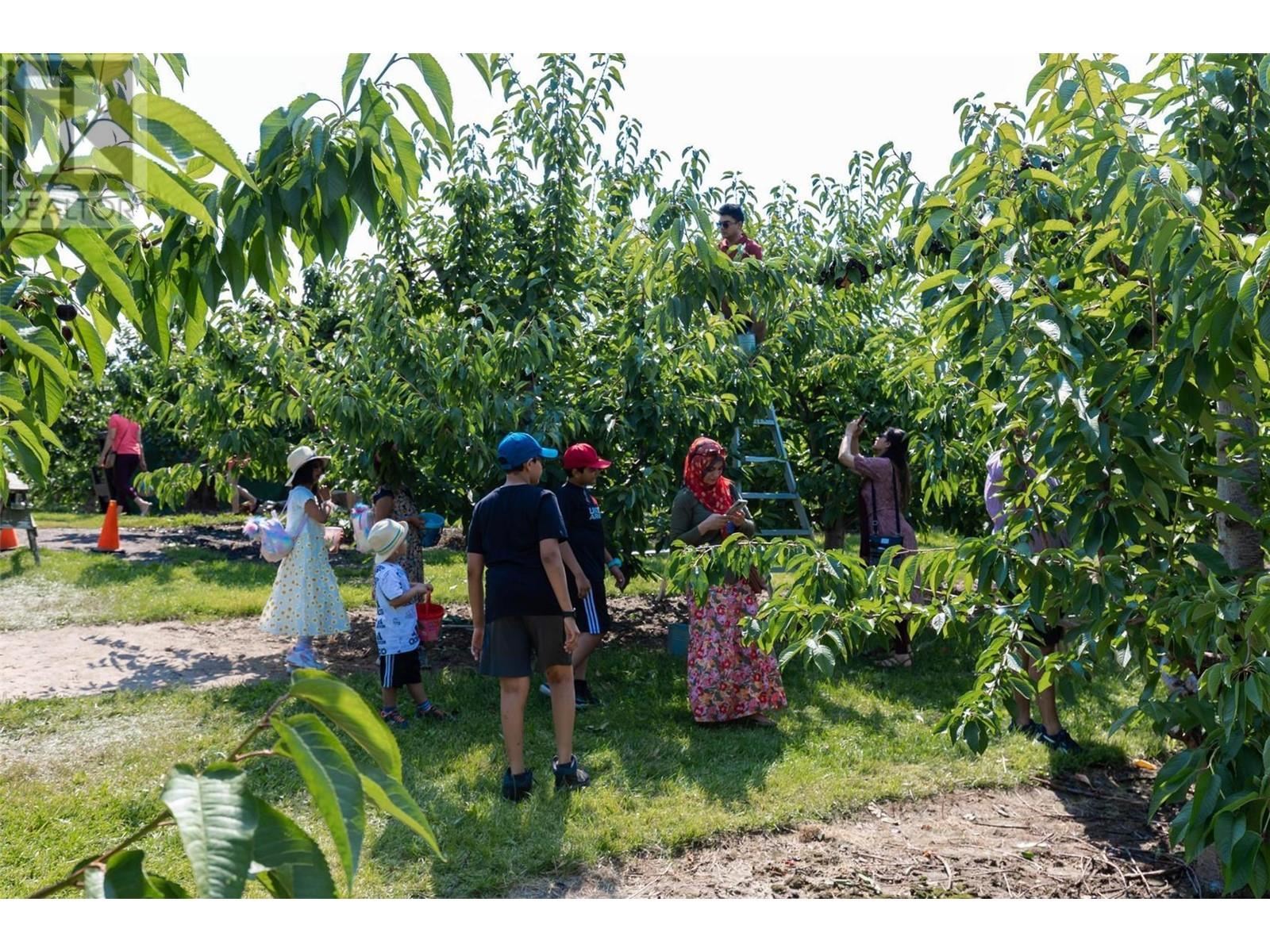 1429-1409 Teasdale Road, Kelowna, British Columbia  V1P 1C8 - Photo 60 - 10338780