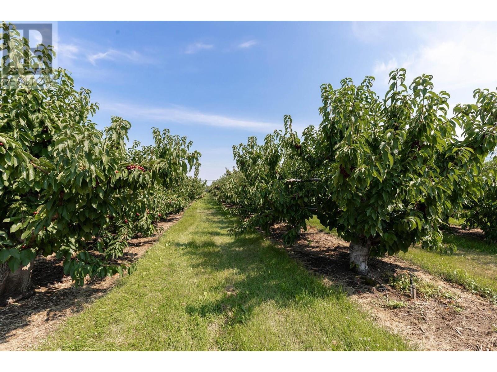 1429-1409 Teasdale Road, Kelowna, British Columbia  V1P 1C8 - Photo 53 - 10338780