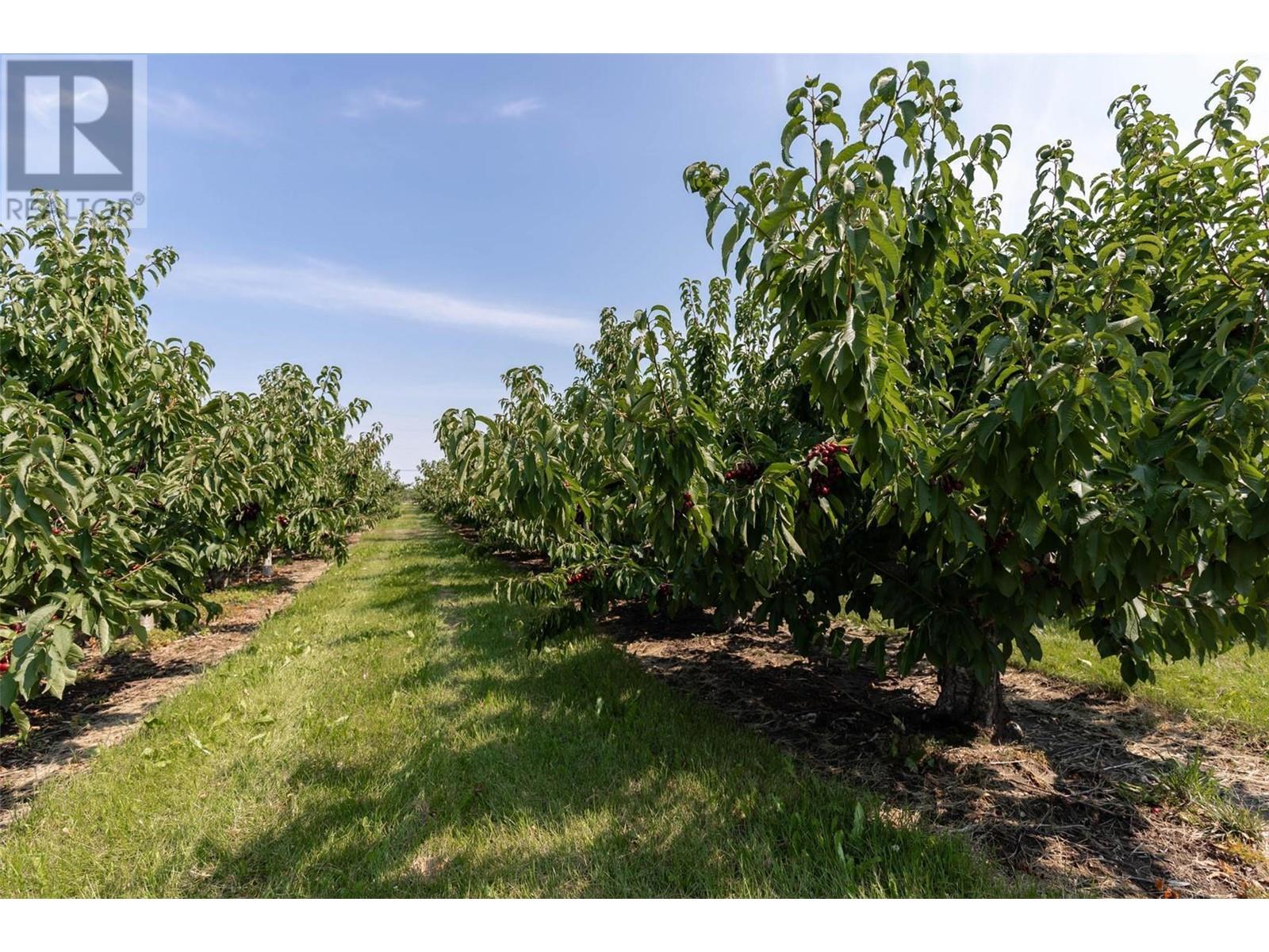 1429-1409 Teasdale Road, Kelowna, British Columbia  V1P 1C8 - Photo 49 - 10338780