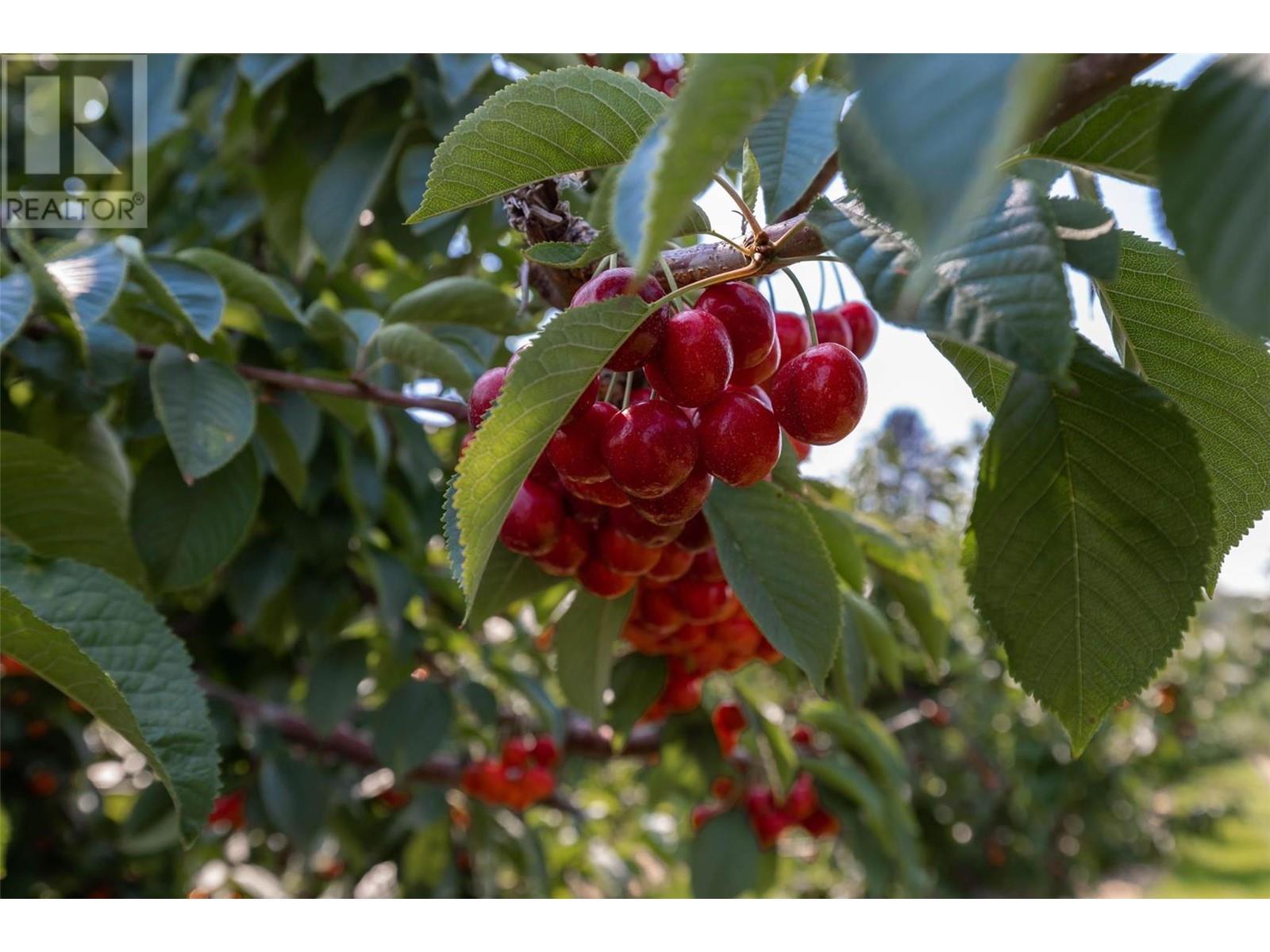 1429-1409 Teasdale Road, Kelowna, British Columbia  V1P 1C8 - Photo 52 - 10338780