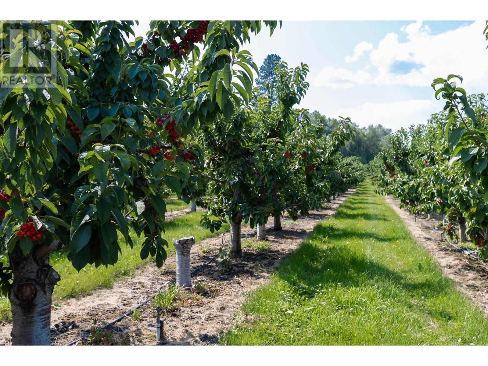 1429-1409 Teasdale Road, Kelowna, British Columbia  V1P 1C8 - Photo 51 - 10338780